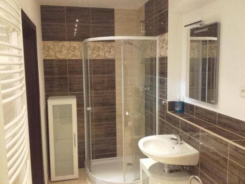 a bathroom with a shower and a sink at A-Z Ubytovaní v soukromí Velké Losiny in Velké Losiny