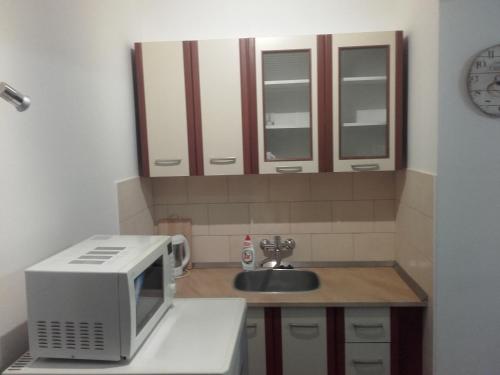 a kitchen with a microwave and a sink at A-Z Ubytovaní v soukromí Velké Losiny in Velké Losiny