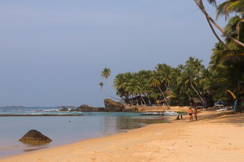 a beach with a group of palm trees and the ocean at Galawatta Beach Resort in Unawatuna