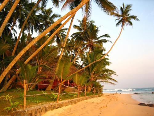 a sandy beach with palm trees and the ocean at Galawatta Beach Resort in Unawatuna