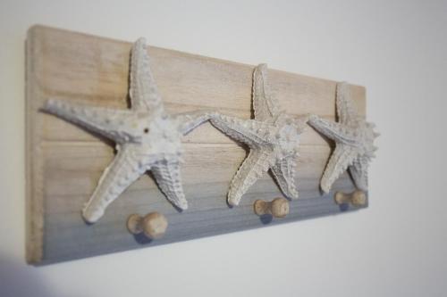 two starfish on a wooden shelf on a wall at Scorci Di Mare in Riomaggiore