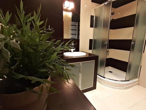 een badkamer met een wastafel, een douche en een potplant bij Apartament 6 osobowy, Wisła in Wisła
