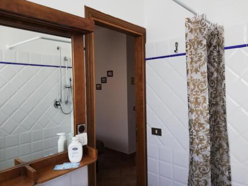 y baño con ducha y cortina de ducha. en Agriturismo "Crocino in Chianti", en Gaiole in Chianti