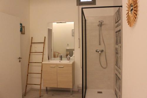 une salle de bain avec douche et lavabo dans l'établissement La Vitrine des Arènes, à Arles