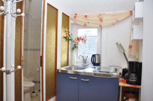 eine kleine Küche mit einem Waschbecken und einem Fenster in der Unterkunft Pension Haus Barbara Oberhof in Oberhof