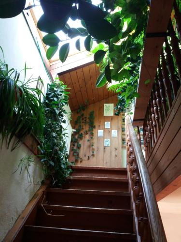 a set of stairs with plants on them at Köstlhof, Familie Hassler in Oberdrauburg
