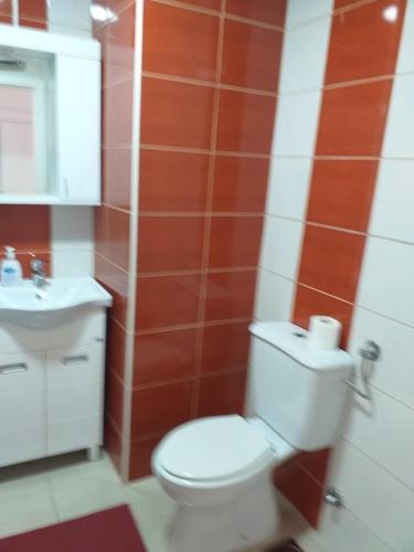 a bathroom with a toilet and a sink at Stan na dan in Loznica