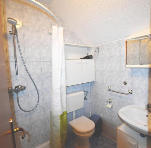 a bathroom with a shower and a toilet and a sink at Apartment Kolman in Bohinj