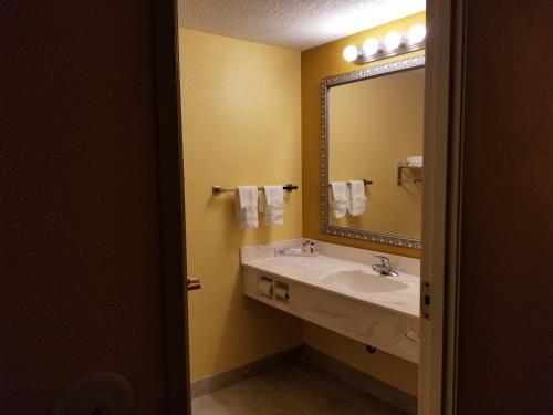 bagno con lavandino e specchio di Comstock Inn & Conference Center a Owosso