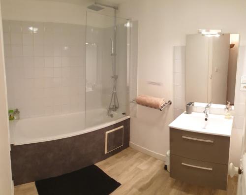 een badkamer met een bad, een wastafel en een douche bij Appartement agréable 1 à 4 personnes in Chaumont