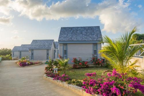  West Rock Villas -  Room  picture :   Tea/Coffee maker    Shower    Safety deposit box                           