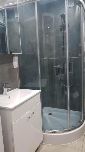 een badkamer met een douche, een wastafel en een toilet bij Apartament Świętoszów in Świętoszów