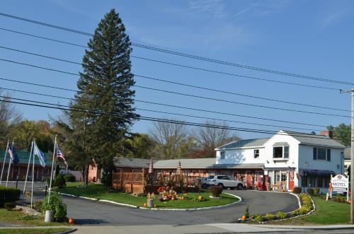 a street in a small town with a large tree at Williamstown Motel in Williamstown