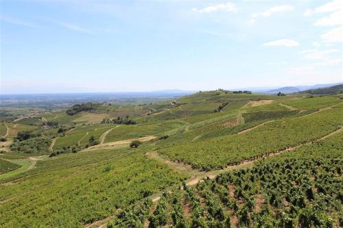 - une vue aérienne sur des collines verdoyantes avec des arbres dans l'établissement Tiny house au cœur du vignoble beaujolais, à Fleurie