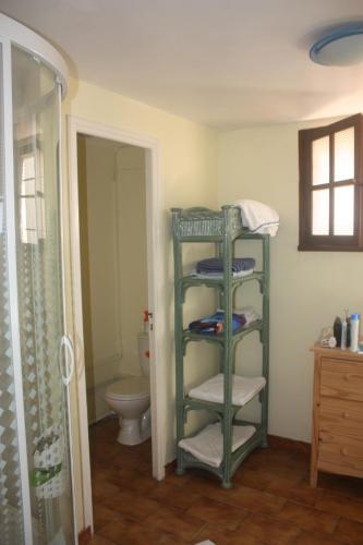 La salle de bains est pourvue d'une douche et d'une étagère verte avec des serviettes. dans l'établissement Maison-Limoux Chambre D'Hote Limoux 11300, à Limoux