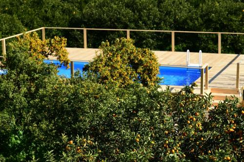 Πισίνα στο ή κοντά στο Giardino Arancio
