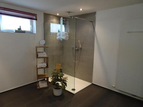 a shower stall in a bathroom with a plant at Ferienwohnung Hoffmann in Osburg