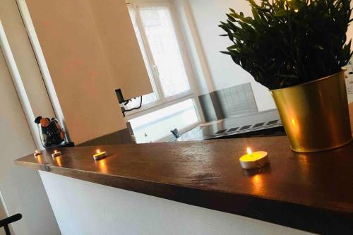 une bougie et une plante en pot sur un comptoir de cuisine dans l'établissement Charmant 2 pièces - Centre ville de Melun, à Melun