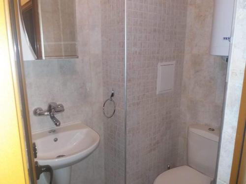 プリモルスコにあるMihaela Apartmentのバスルーム(洗面台、トイレ、シャワー付)