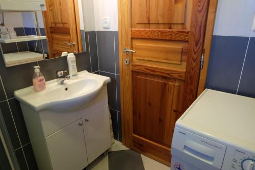 a bathroom with a sink and a washing machine at Apartment Jadranka in Trebinje