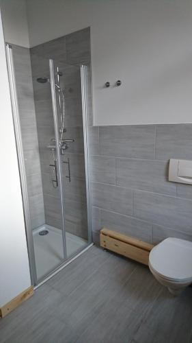 a bathroom with a shower and a toilet at Ferienwohnung Forsthaus in Neustadt am Rennsteig