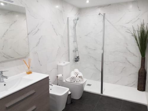 a bathroom with a shower and a toilet and a sink at Kaltzada Etxea- Busturia in Axpe de Busturia