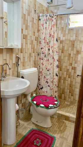 プエルトイグアスにあるApart Nicolasのトイレと洗面台のあるバスルーム