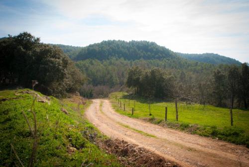 a dirt road in the middle of a field at Masia l`Arà in La Baronia de Rialb
