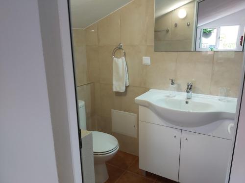 uma casa de banho com um lavatório branco e um WC. em Tabua Village Nature Lovers & Sea #5 em Ribeira Brava