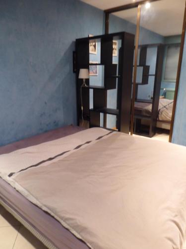 duże łóżko w pokoju z lustrem w obiekcie Chambre dans un appartement Annecy Gare-Centre w Annecy