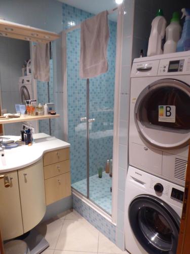 a bathroom with a washing machine and a shower at Chambre dans un appartement Annecy Gare-Centre in Annecy