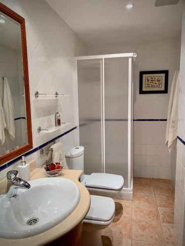 a bathroom with a shower and a sink and a toilet at El Pino de Cerler in Cerler