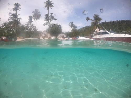 a large pool of blue water with palm trees and a boat at Erens Guest House in Waisai