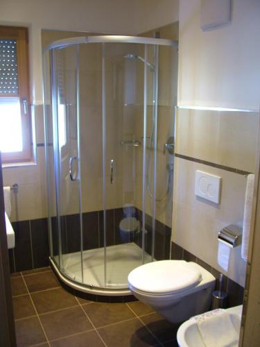 a bathroom with a shower and a toilet at B&B Ciasa Brüscia in San Vigilio Di Marebbe