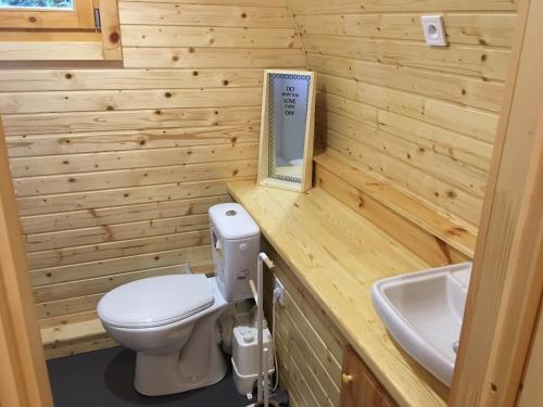 La petite salle de bains est pourvue de toilettes et d'un lavabo. dans l'établissement Joly Saint Sauveur, à Villard-Saint-Sauveur