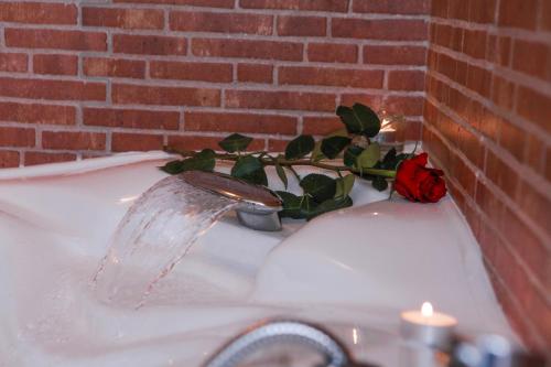 a bathroom sink with water pouring into a plant at La Baita Suite in Sicignano degli Alburni