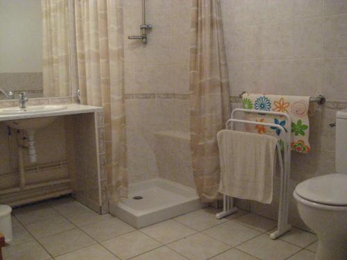 y baño con ducha, aseo y lavamanos. en Le Vieux Chalet, en Embrun