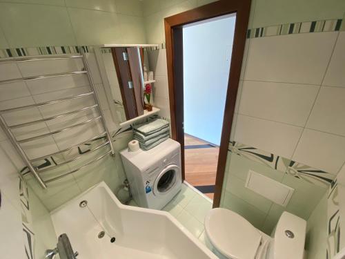 Baño pequeño con aseo y lavamanos en Dange apartment en Šiauliai