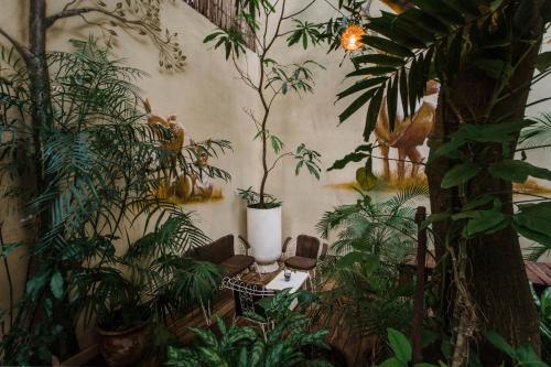 a room filled with lots of plants at Hotel La Semilla a Member of Design Hotels in Playa del Carmen