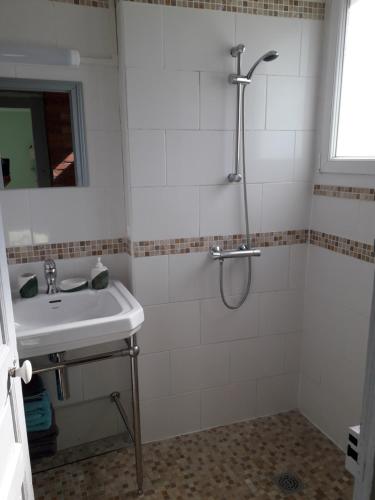 a bathroom with a shower and a sink at Gîte de la Bigaillonne in Saint-Marcel