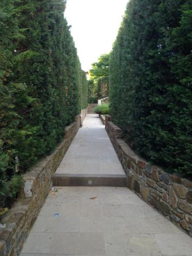 a path between two hedge hedges in a garden at Appartamento in Villa con Piscina - Mhateria Relais in Rignano sullʼArno