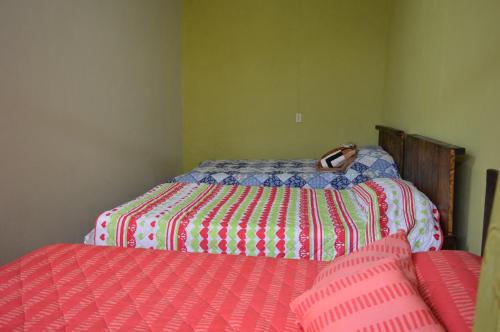 een slaapkamer met 2 bedden en een sprei bij La Nueva Granja Hospedaje Rural in Tibasosa