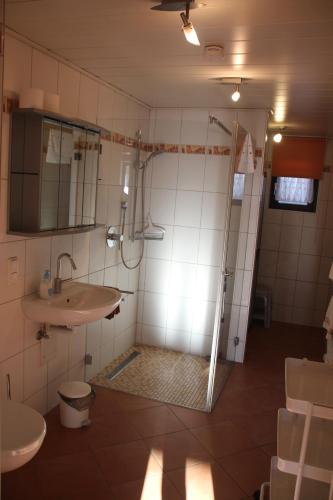 La salle de bains est pourvue d'une douche, d'un lavabo et d'un miroir. dans l'établissement Ferienwohnung Friedrich, à Schonungen