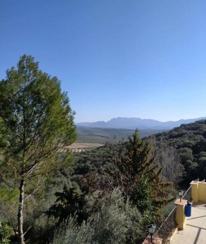 Φυσικό τοπίο κοντά σε αυτό το ξενοδοχείο