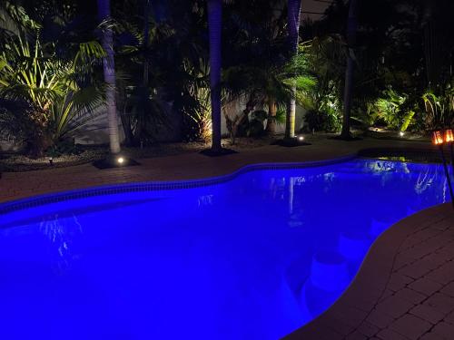 Tropical Paradise – Photos 2