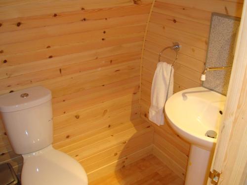 a bathroom with a toilet and a sink at Glamping Hut - By The Way Campsite in Tyndrum