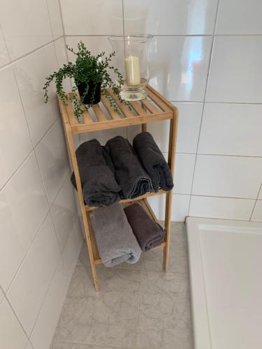 a towel rack with towels and a plant in a bathroom at An der Uniklinik, Apartment mit eigener Küche und renoviertem Badezimmer, Zentrale Lage in Homburg