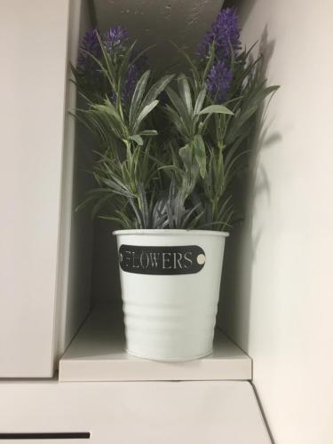 a plant in a white pot on a shelf at StarHomes Hallituskatu 23 in Oulu