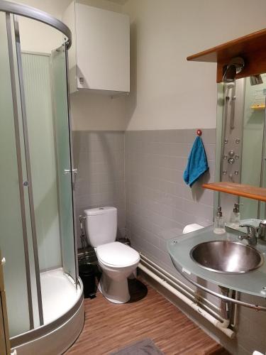 une salle de bain avec toilettes, lavabo et douche dans l'établissement Appartement T2 Hyper City Centre, au Mans