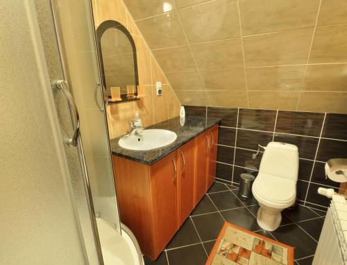a bathroom with a sink and a toilet and a mirror at Willa Modrysówka in Zawoja